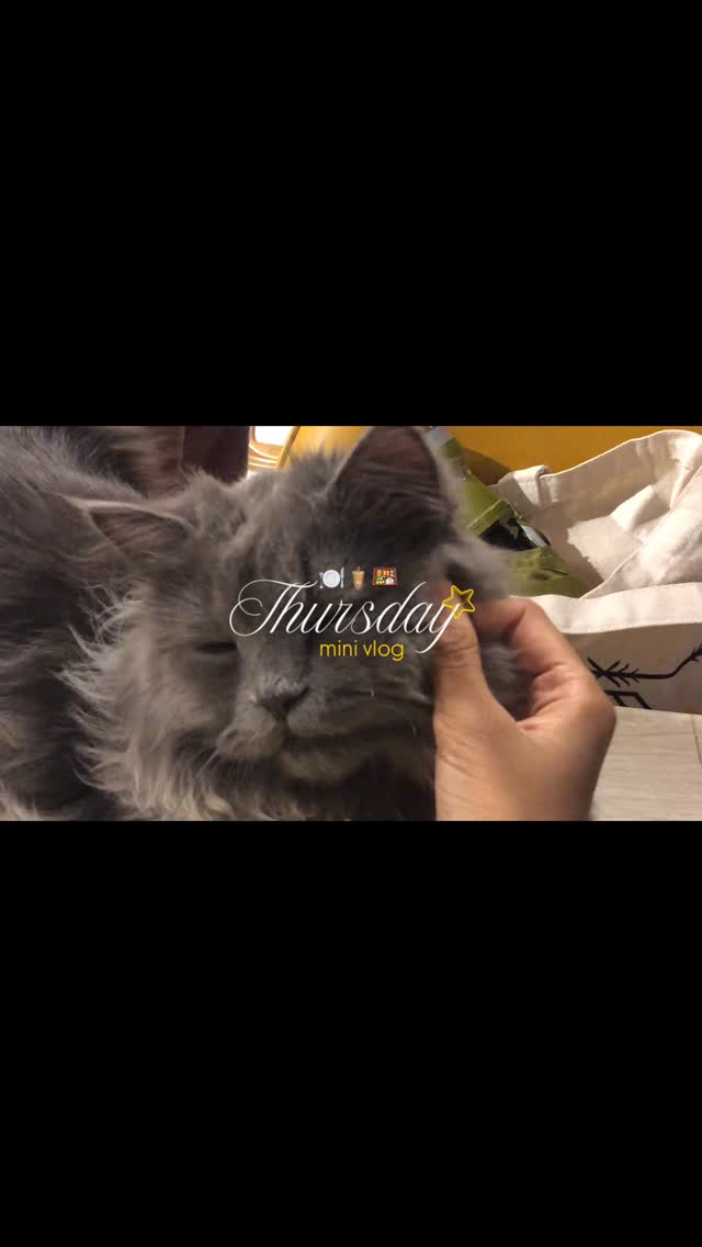 Cat at Oven Kissed